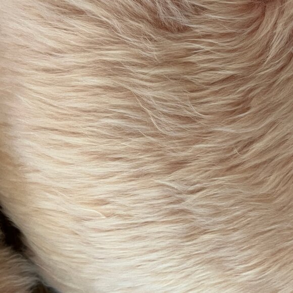 Article (Retired) Lanna Round Pink Sheepskin Pair of Pillows - EUC - So Soft! - Picture 5 of 11